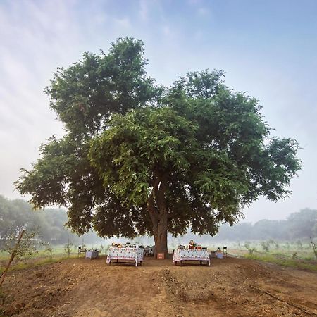 Mela Kothi - The Chambal Safari Lodge Bah Exterior photo