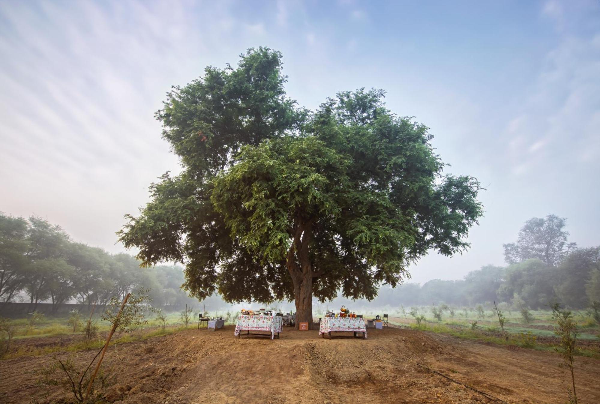 Mela Kothi - The Chambal Safari Lodge Bah Exterior photo